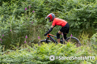 Recent mountain bike photo from Antur Stiniog
