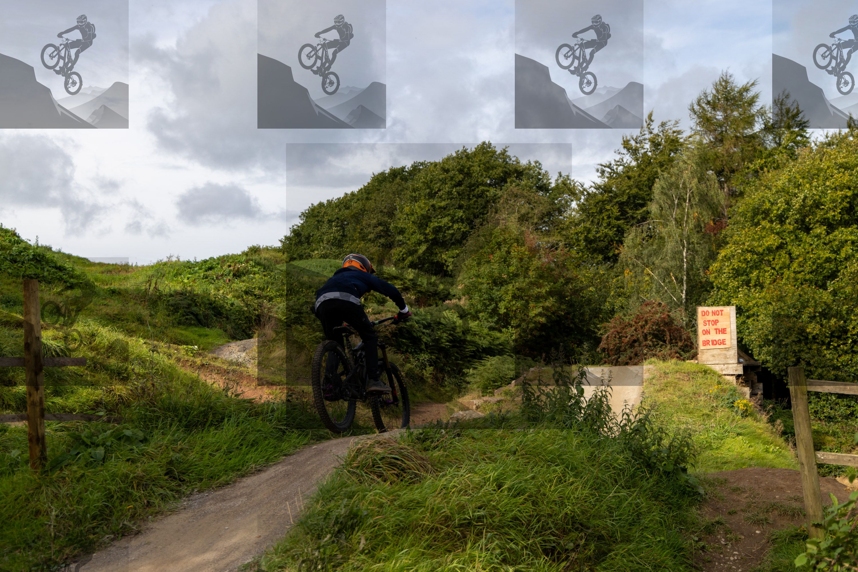 mountain bike photo at Farmer Johns