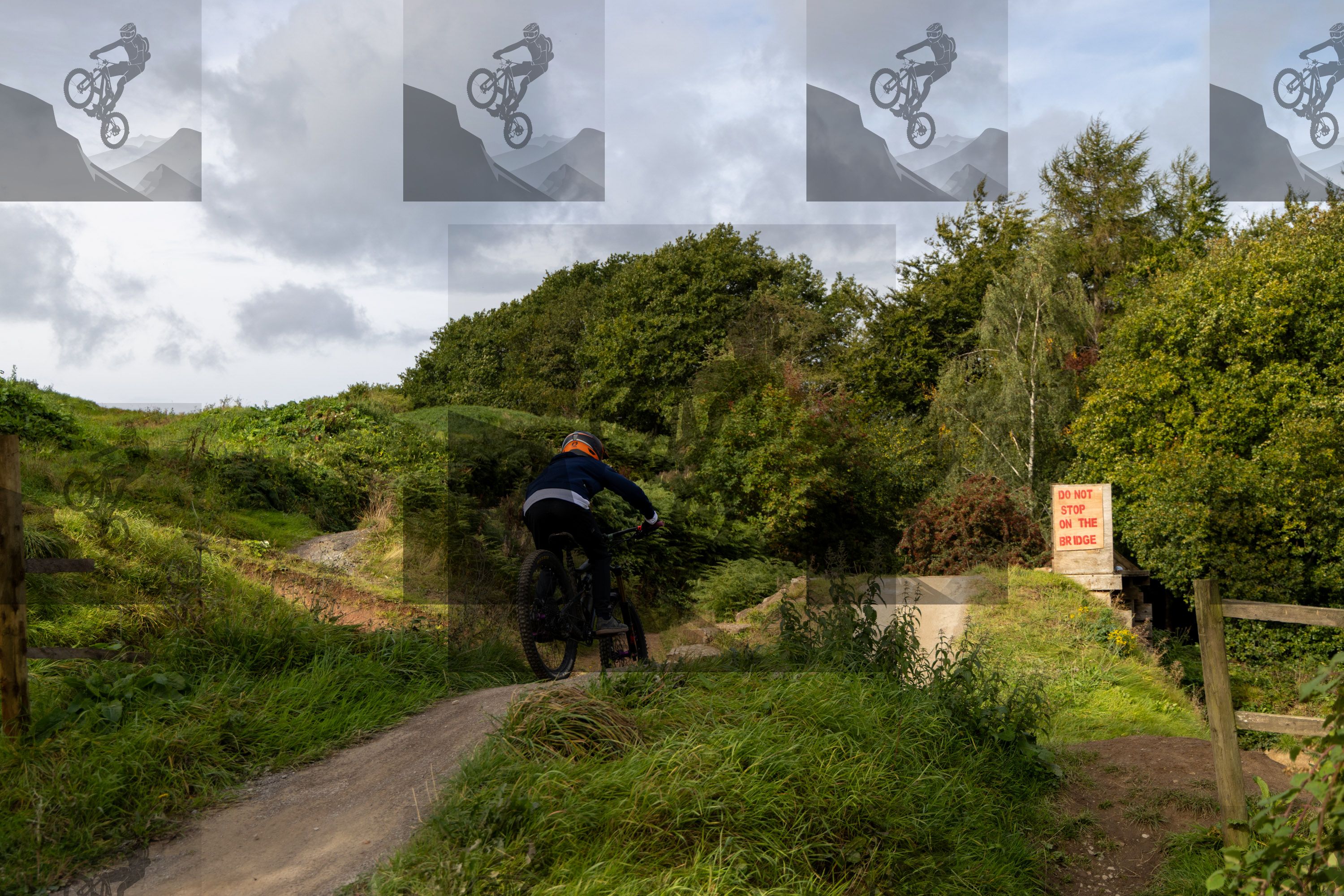 mountain bike photo at Farmer Johns