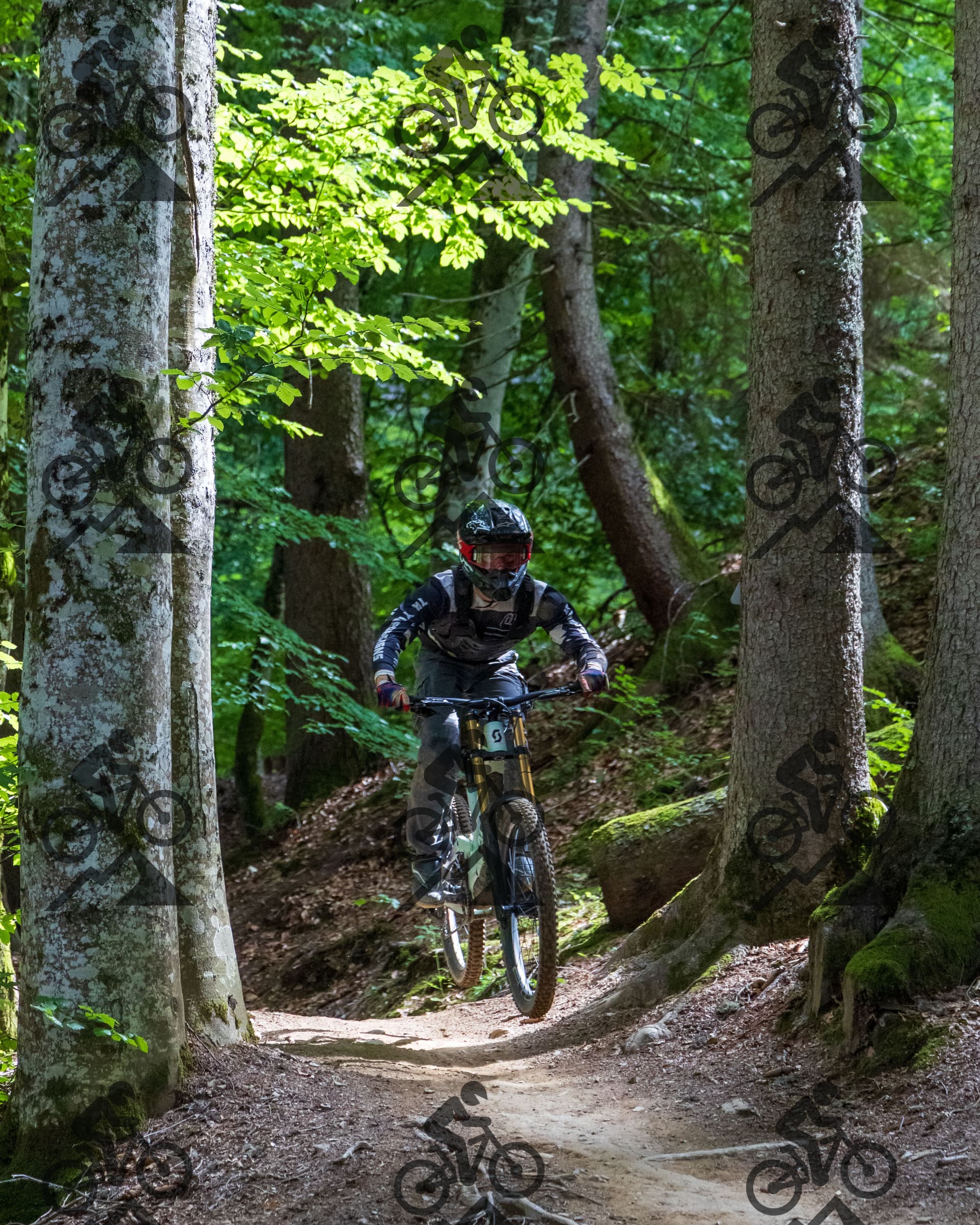 mountain bike photo at Morzine Bikepark