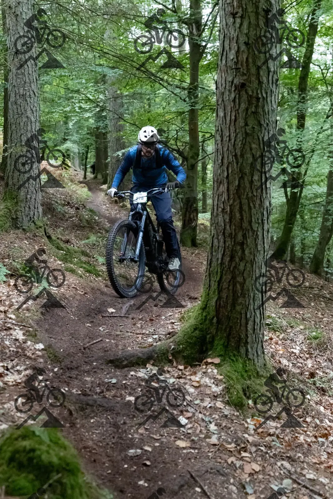 mountain bike photo at Forest of Dean Cycle Centre