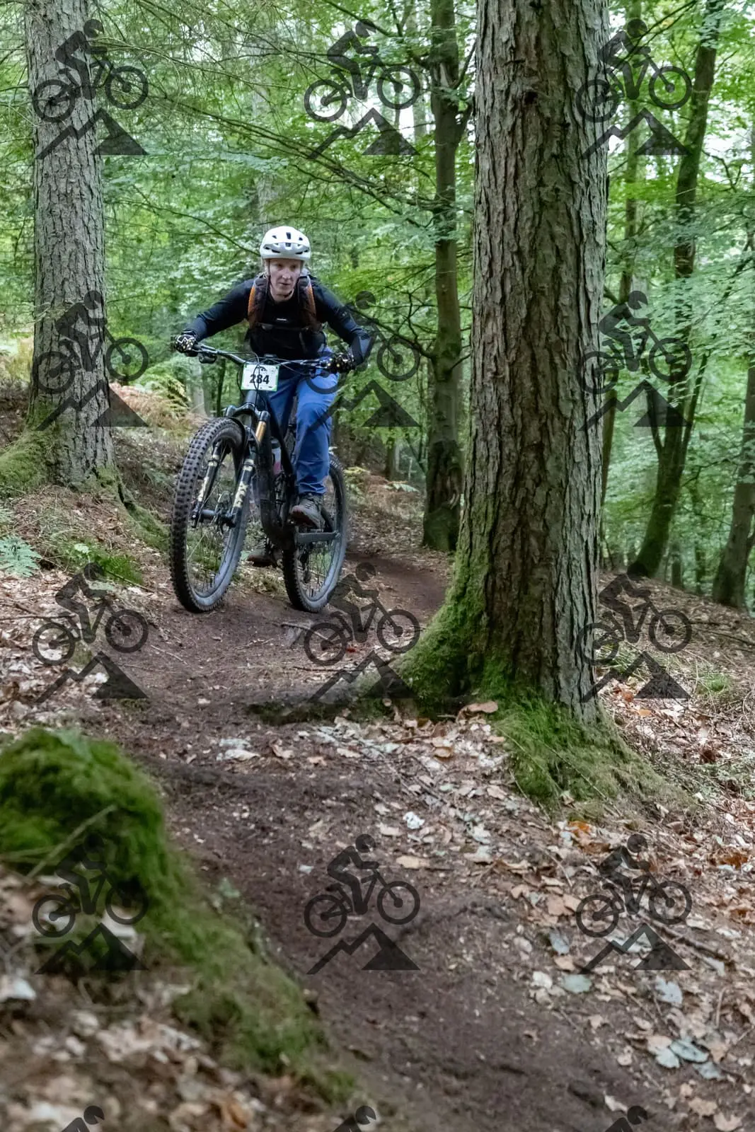 mountain bike photo at Forest of Dean Cycle Centre