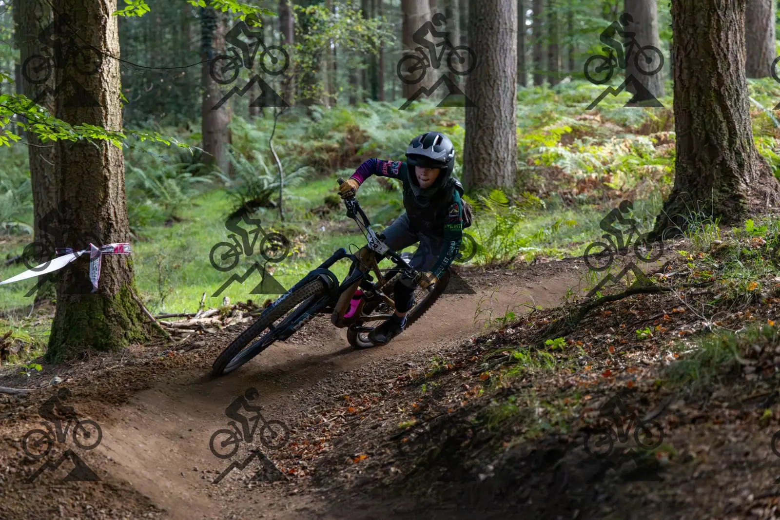 mountain bike photo at Forest of Dean Cycle Centre