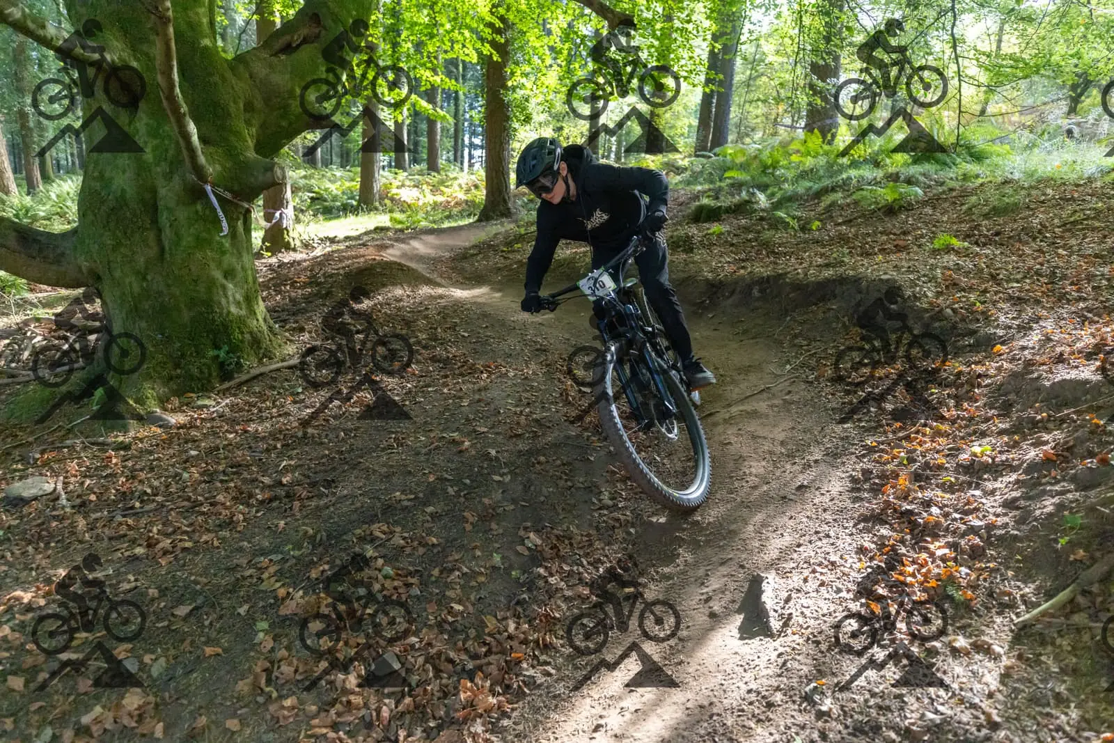 mountain bike photo at Forest of Dean Cycle Centre