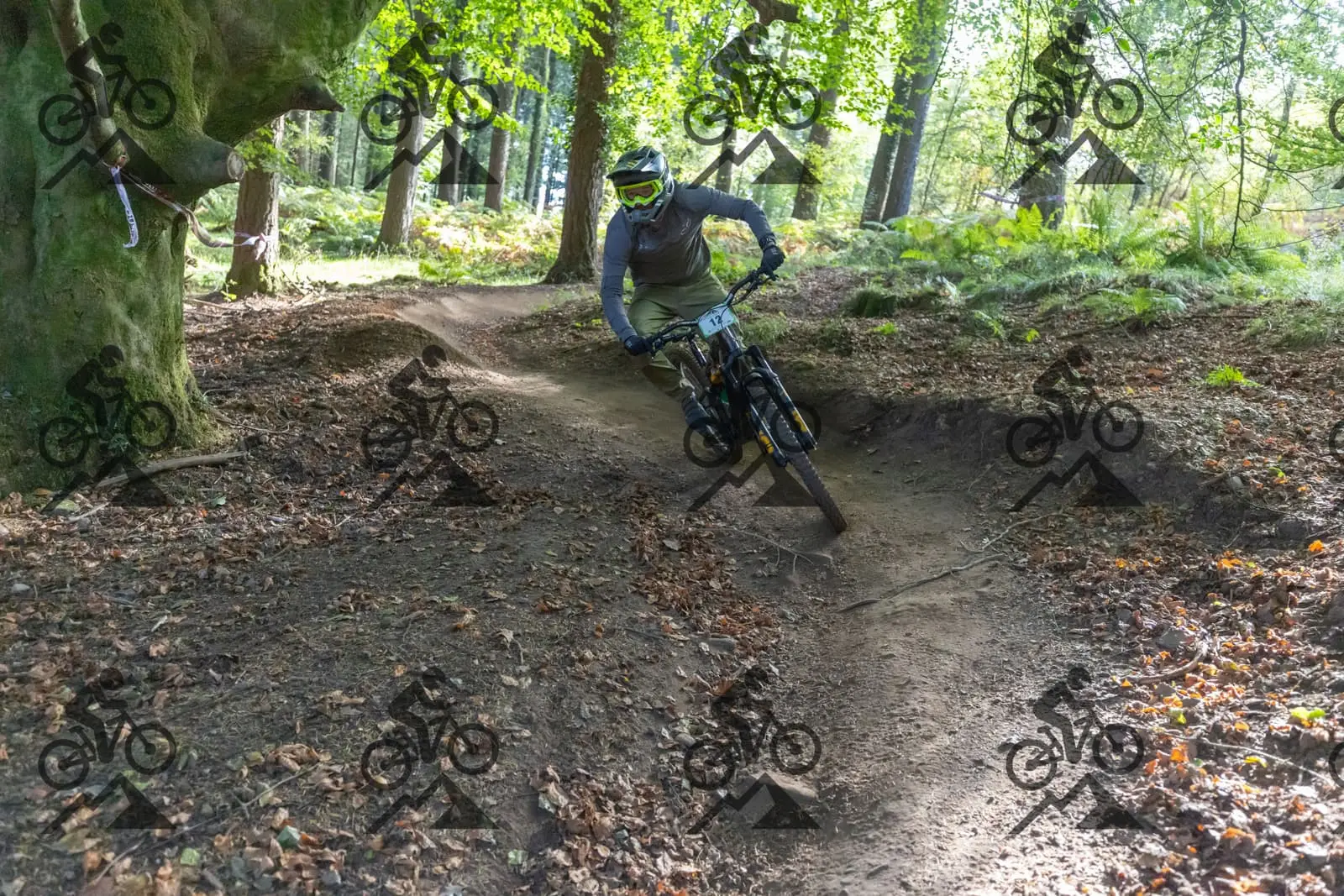 mountain bike photo at Forest of Dean Cycle Centre