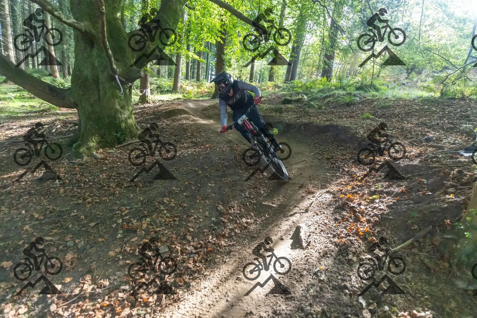 mountain bike photo at Forest of Dean Cycle Centre