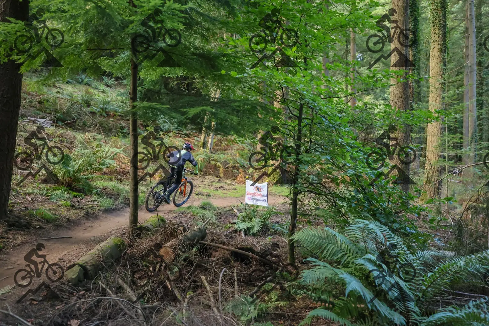 mountain bike photo at Forest of Dean Cycle Centre