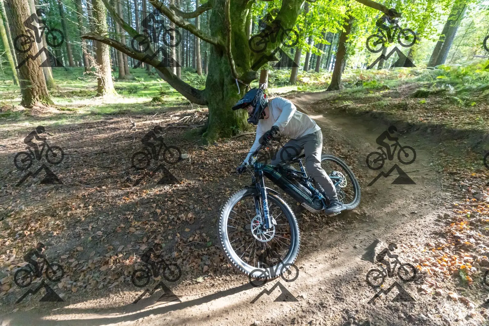 mountain bike photo at Forest of Dean Cycle Centre