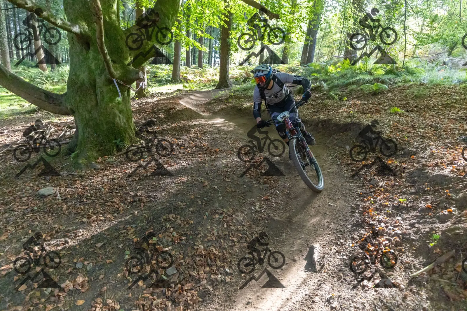 mountain bike photo at Forest of Dean Cycle Centre