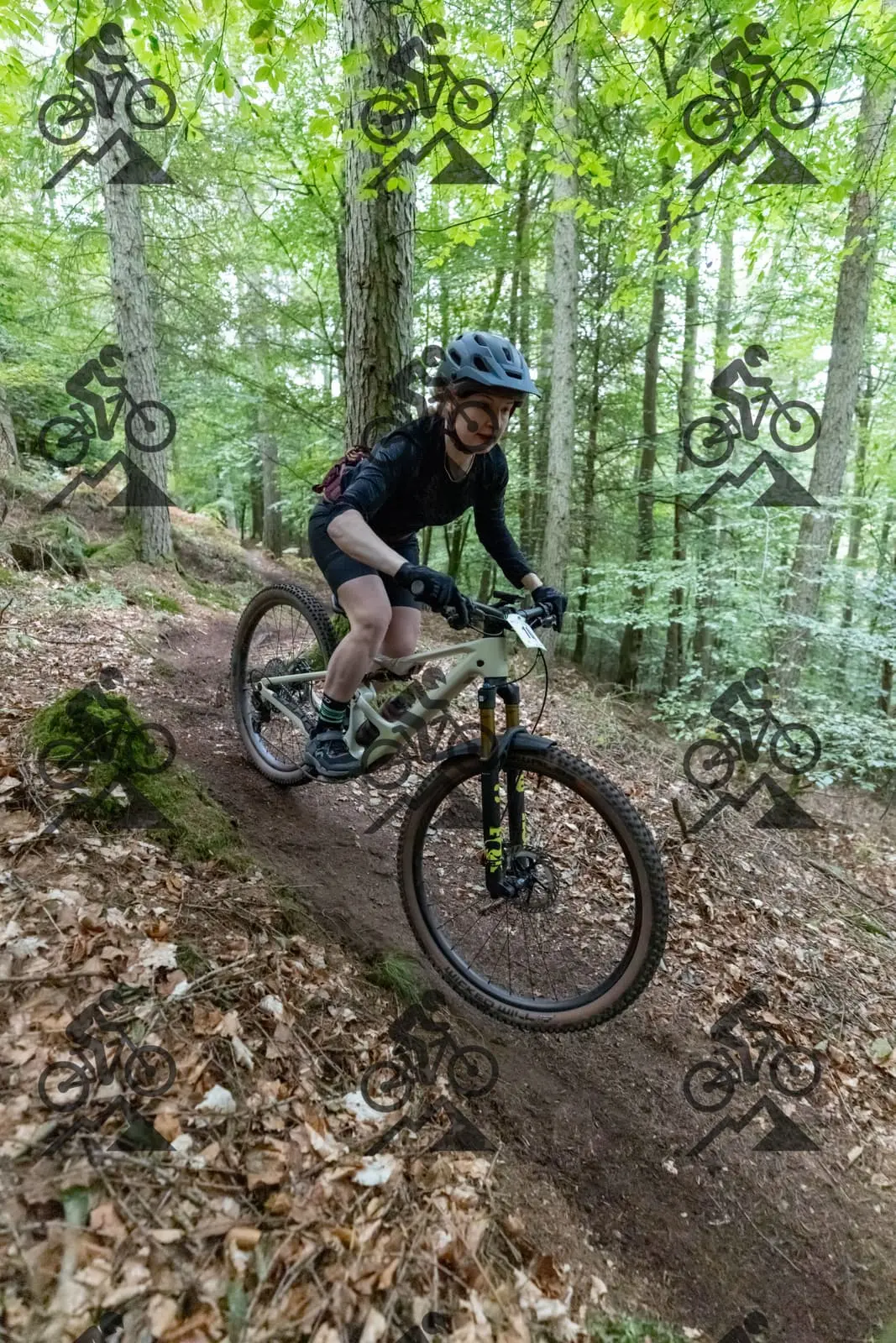 mountain bike photo at Forest of Dean Cycle Centre