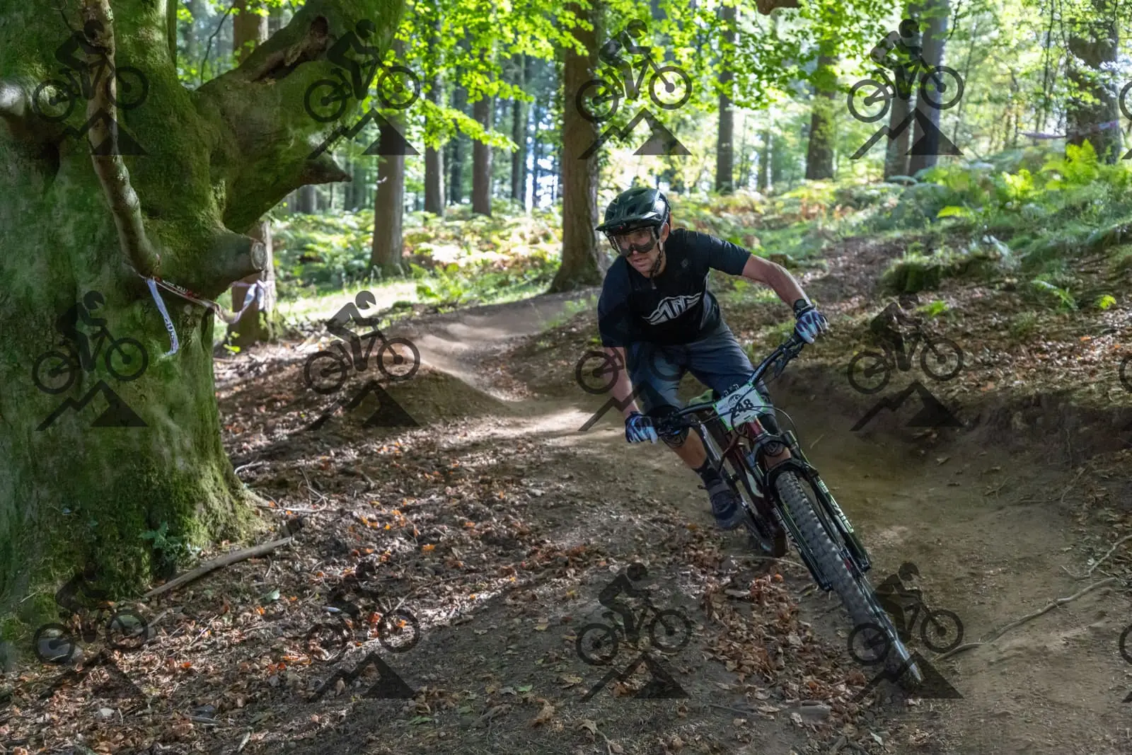 mountain bike photo at Forest of Dean Cycle Centre