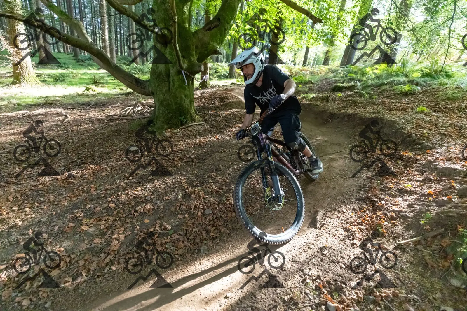 mountain bike photo at Forest of Dean Cycle Centre