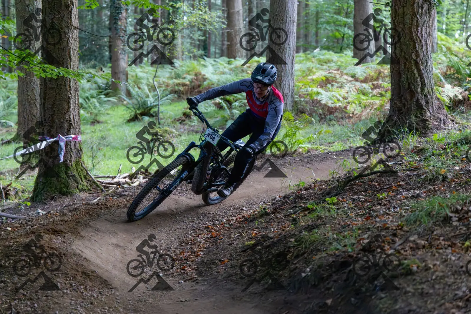 mountain bike photo at Forest of Dean Cycle Centre
