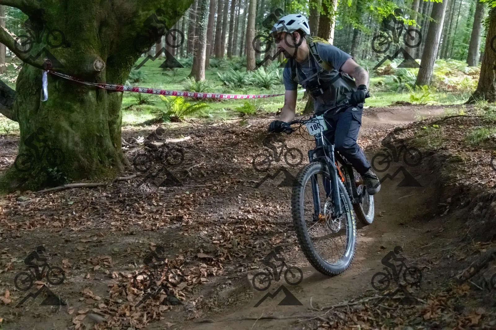 mountain bike photo at Forest of Dean Cycle Centre