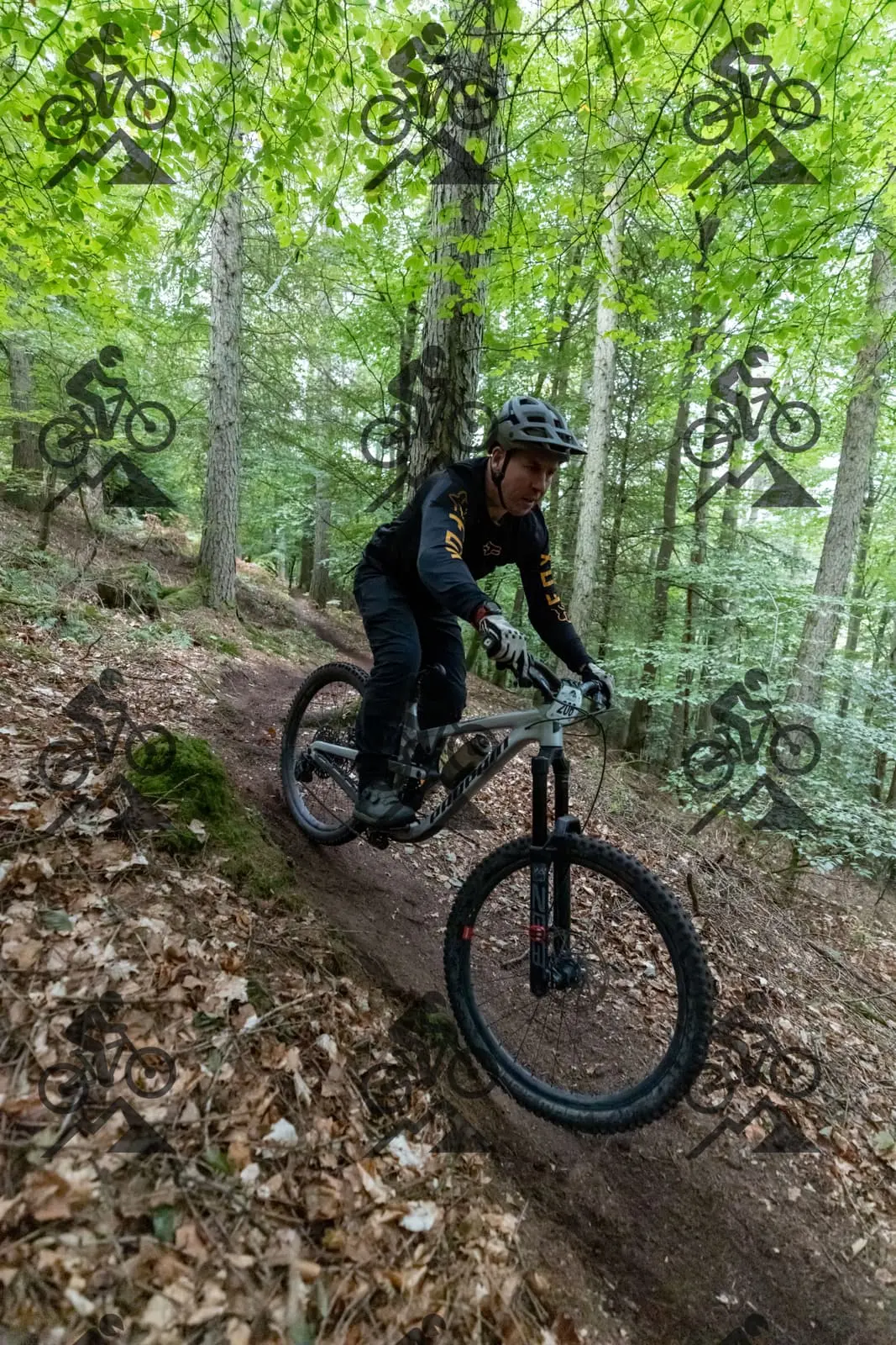 mountain bike photo at Forest of Dean Cycle Centre