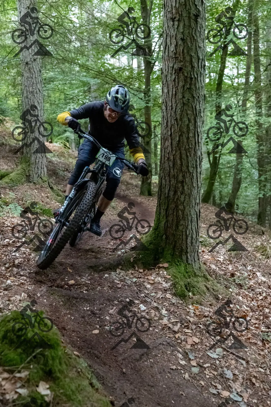 mountain bike photo at Forest of Dean Cycle Centre