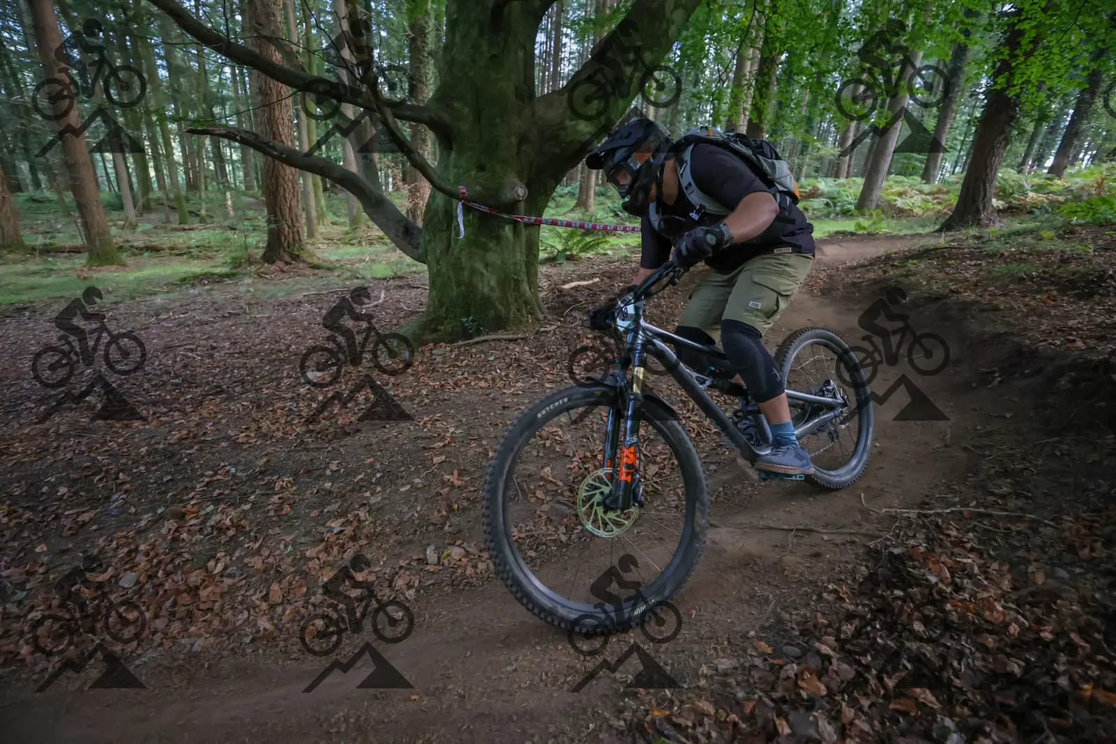 mountain bike photo at Forest of Dean Cycle Centre
