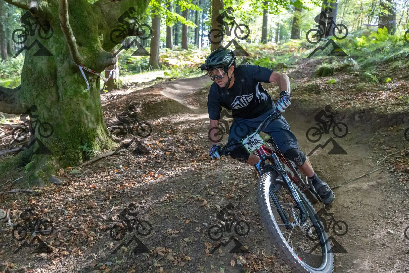 mountain bike photo at Forest of Dean Cycle Centre