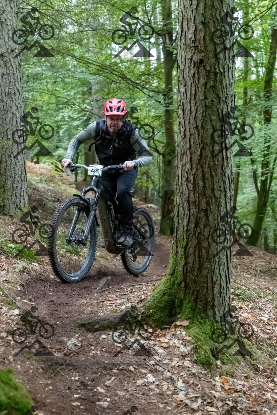 mountain bike photo at Forest of Dean Cycle Centre