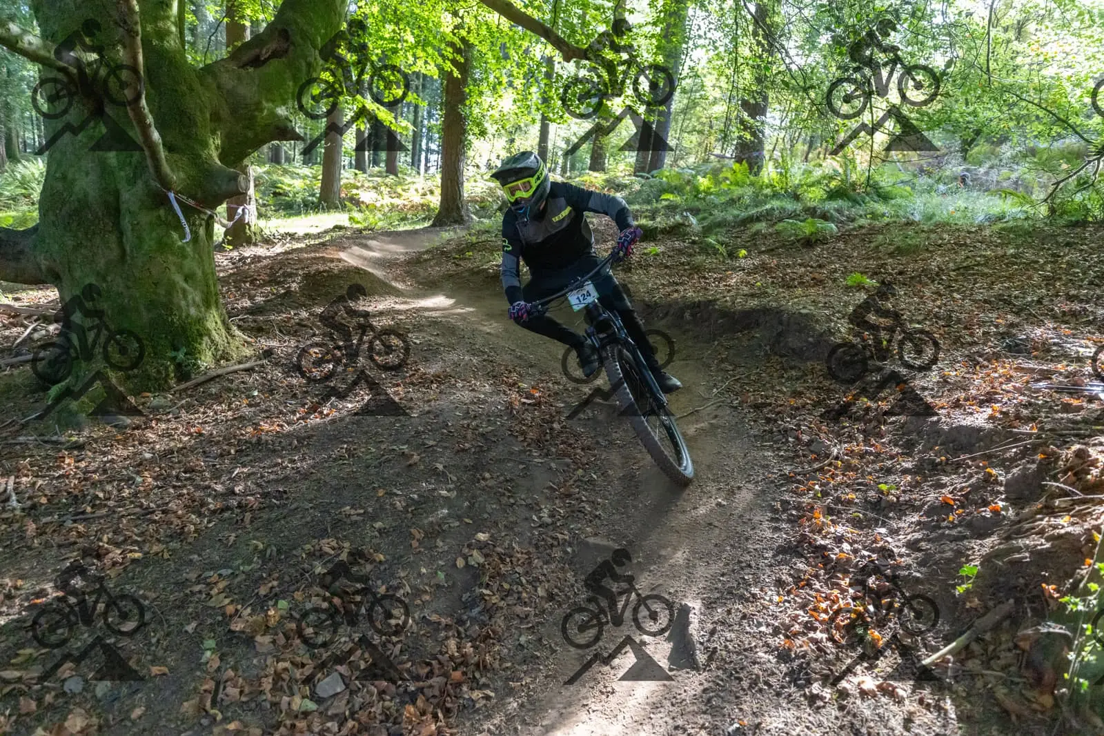 mountain bike photo at Forest of Dean Cycle Centre