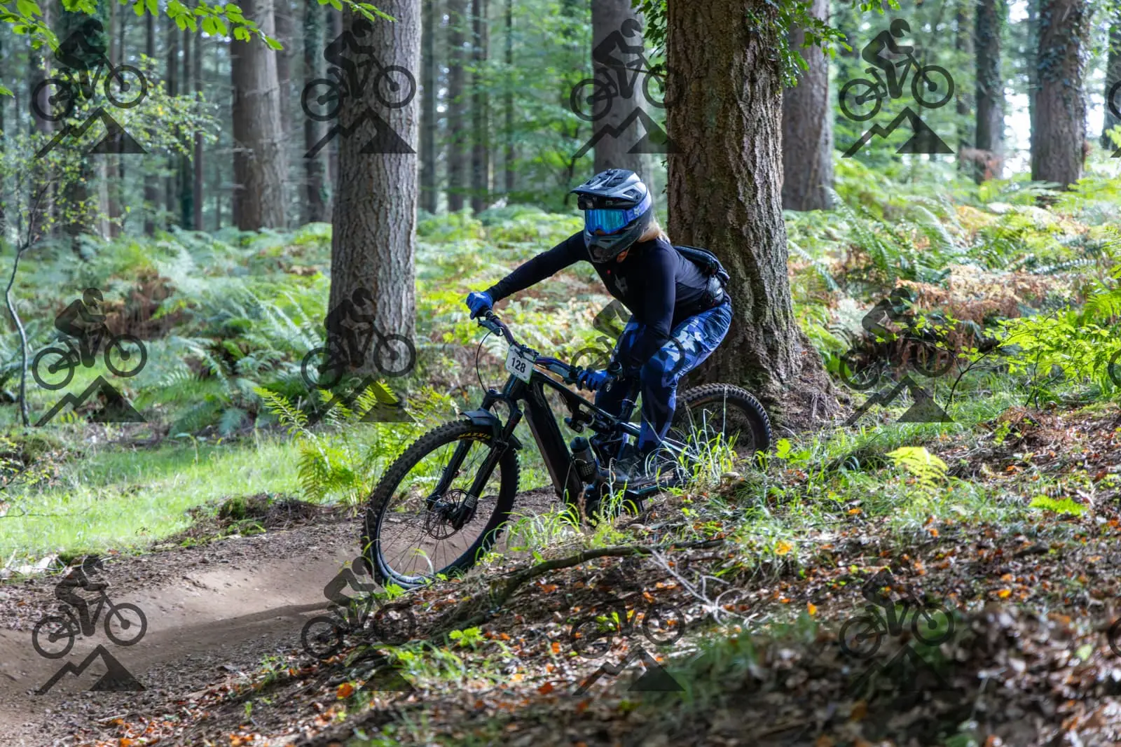 mountain bike photo at Forest of Dean Cycle Centre