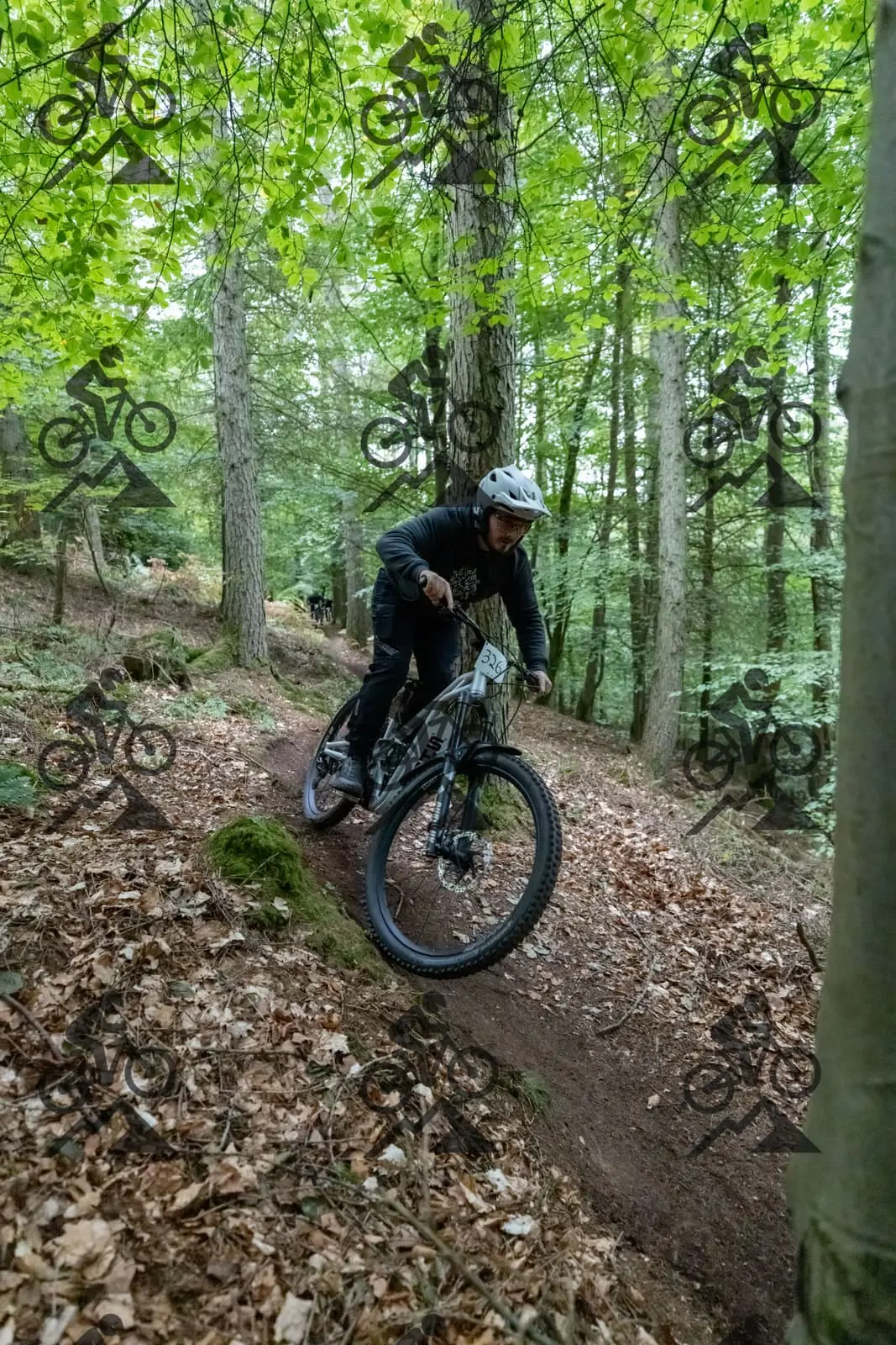mountain bike photo at Forest of Dean Cycle Centre