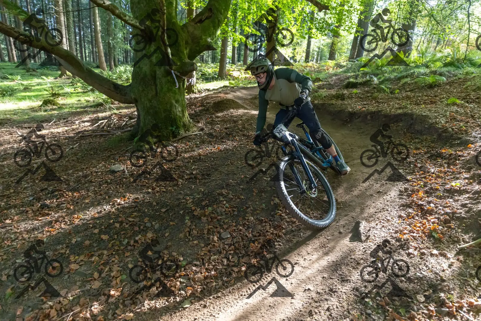 mountain bike photo at Forest of Dean Cycle Centre