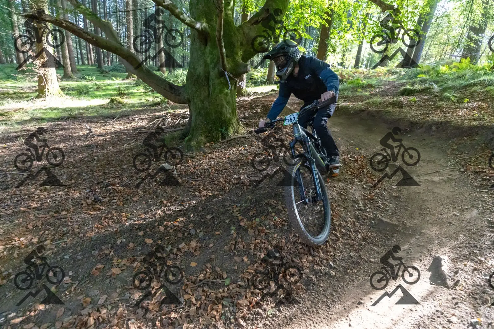 mountain bike photo at Forest of Dean Cycle Centre