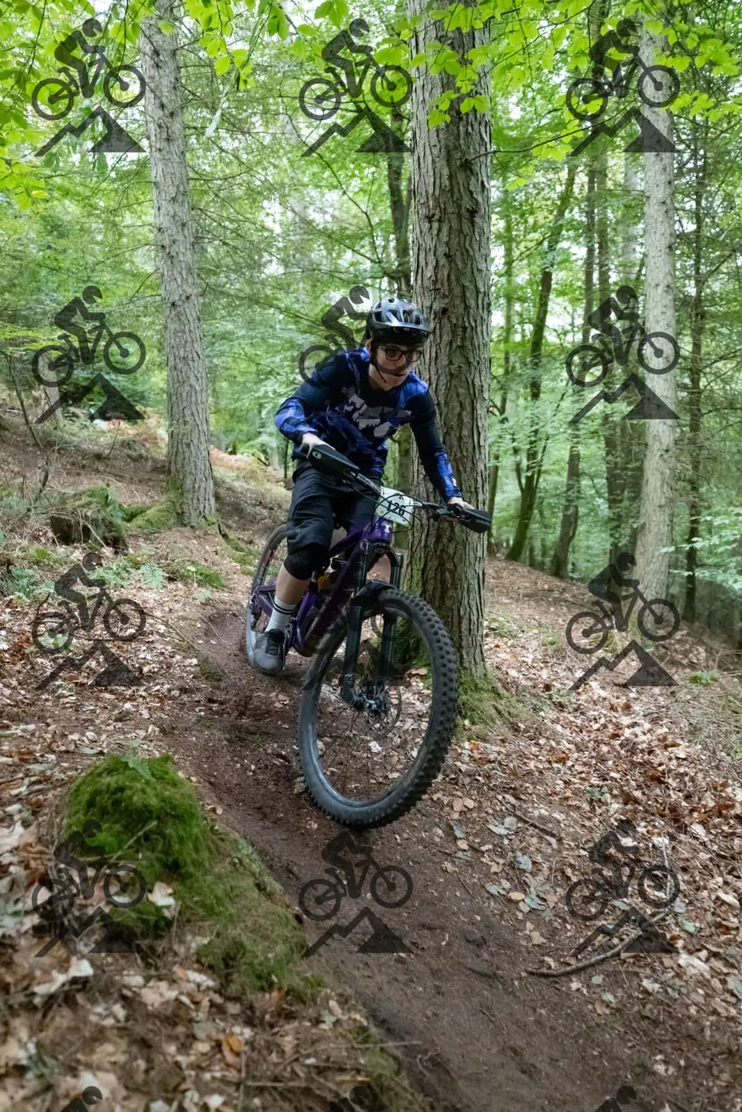 mountain bike photo at Forest of Dean Cycle Centre