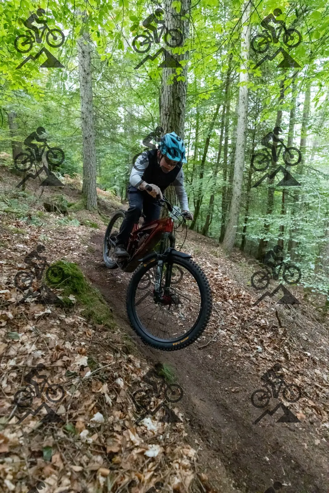 mountain bike photo at Forest of Dean Cycle Centre