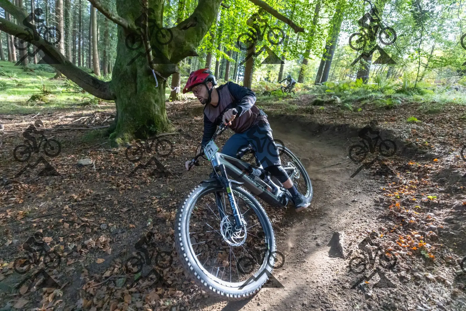 mountain bike photo at Forest of Dean Cycle Centre