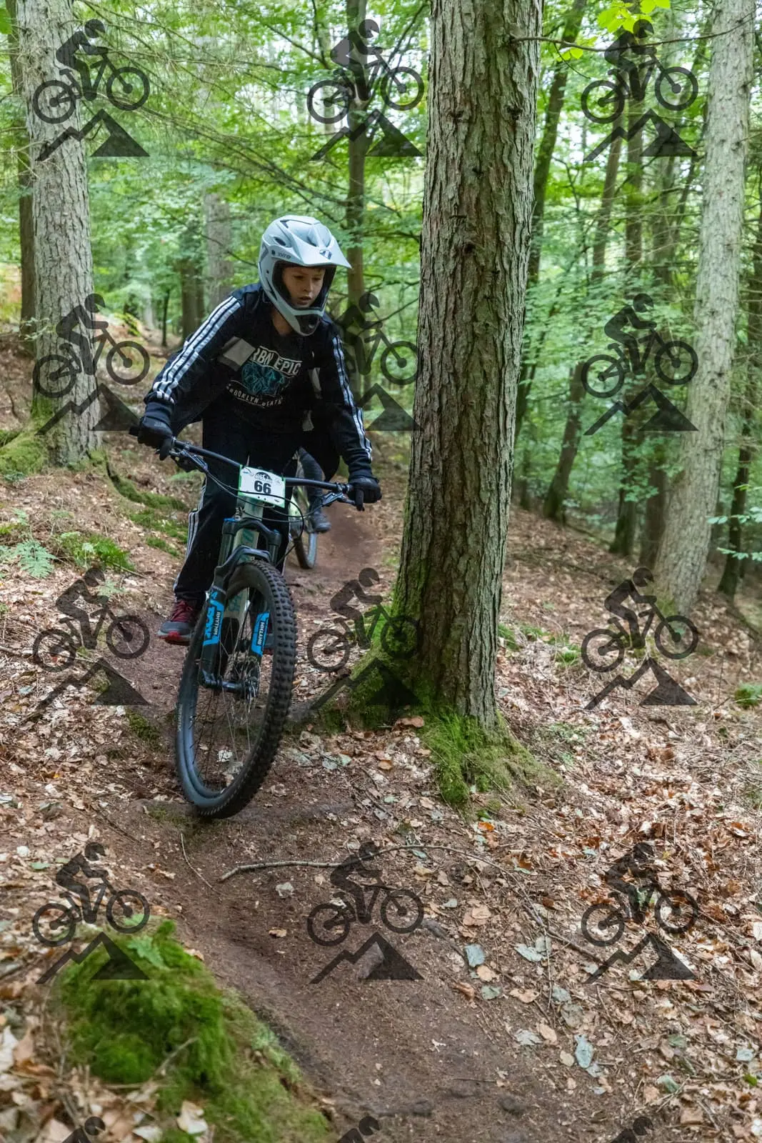mountain bike photo at Forest of Dean Cycle Centre
