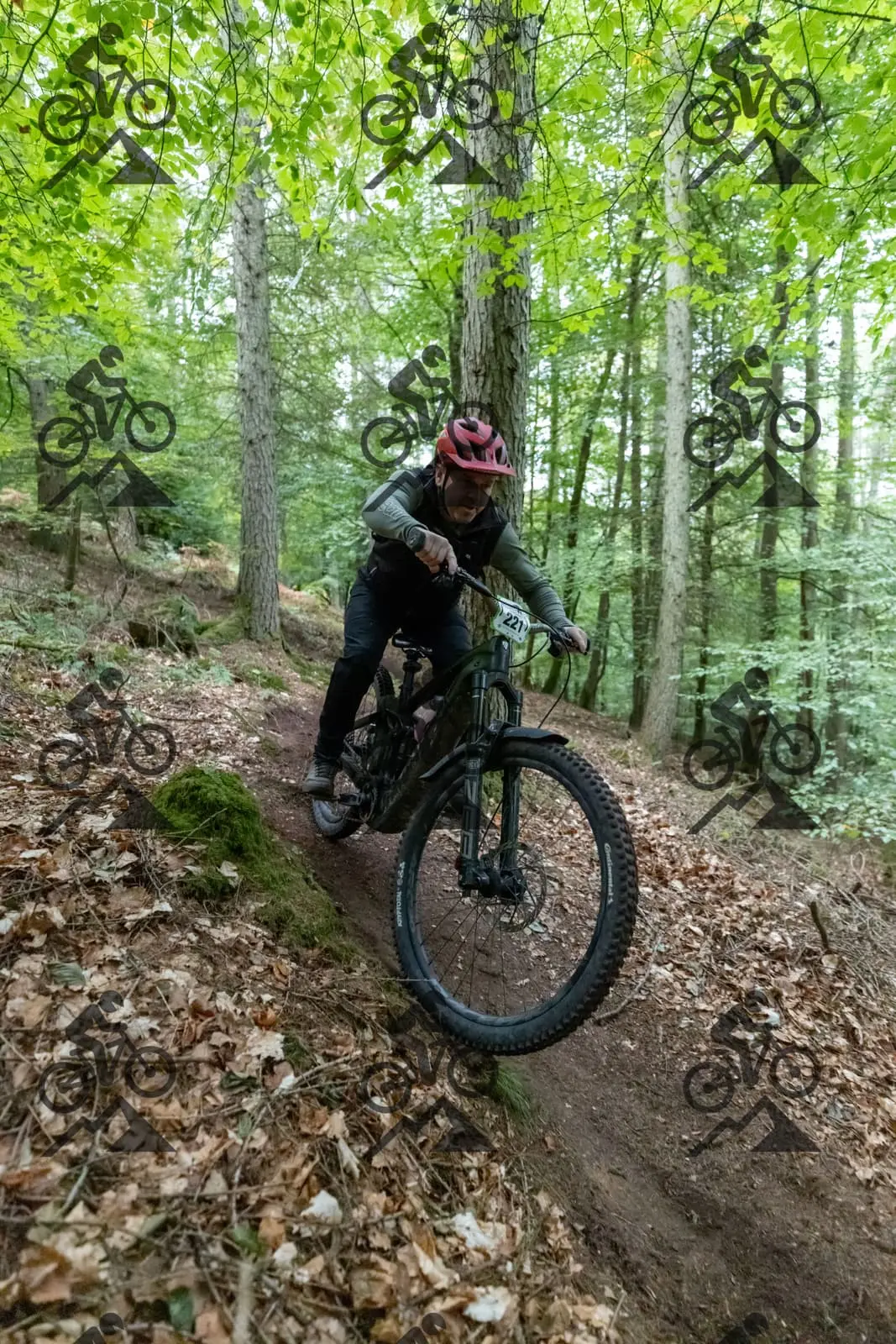 mountain bike photo at Forest of Dean Cycle Centre