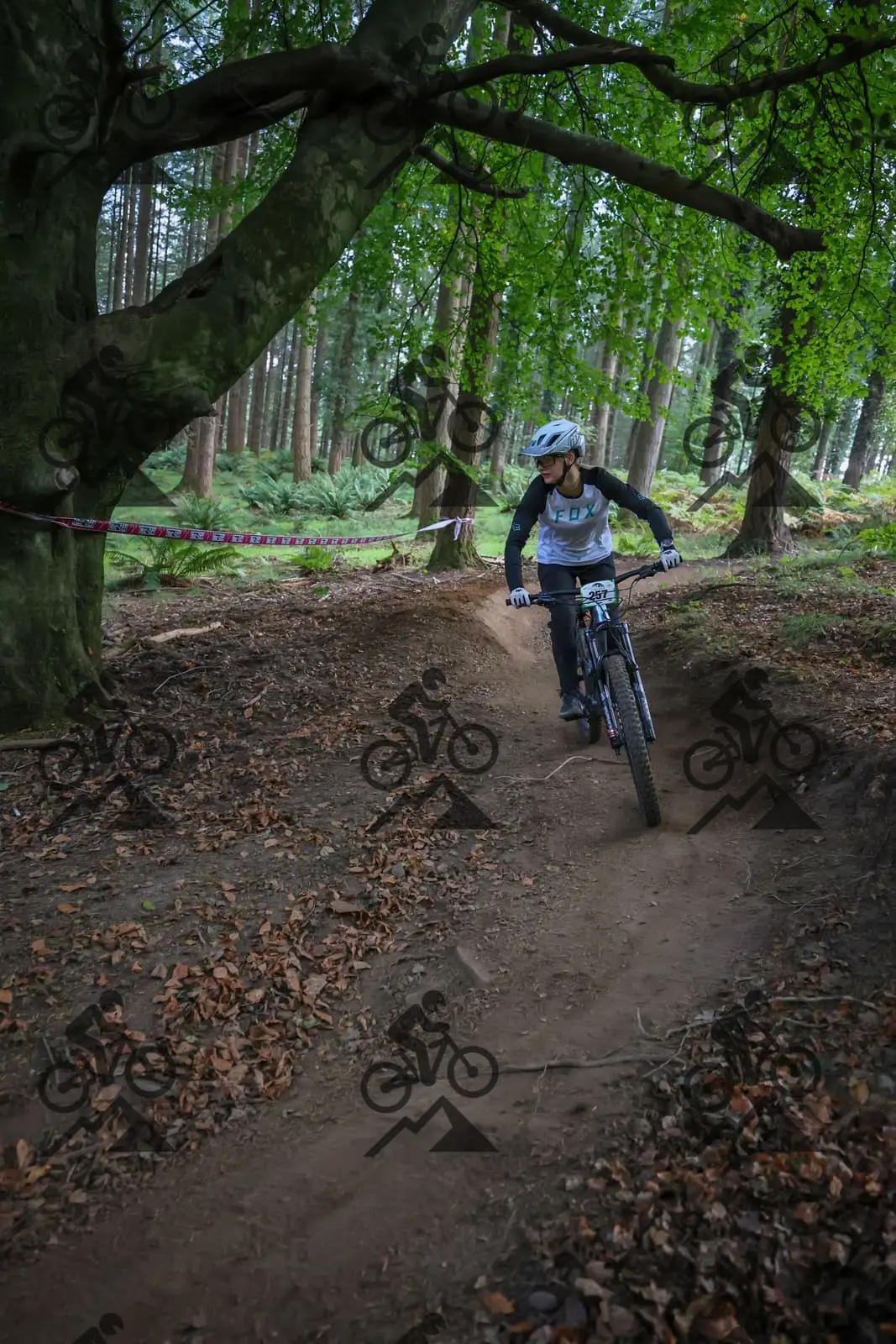 mountain bike photo at Forest of Dean Cycle Centre