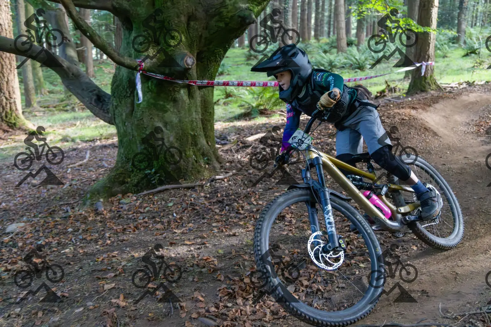 mountain bike photo at Forest of Dean Cycle Centre