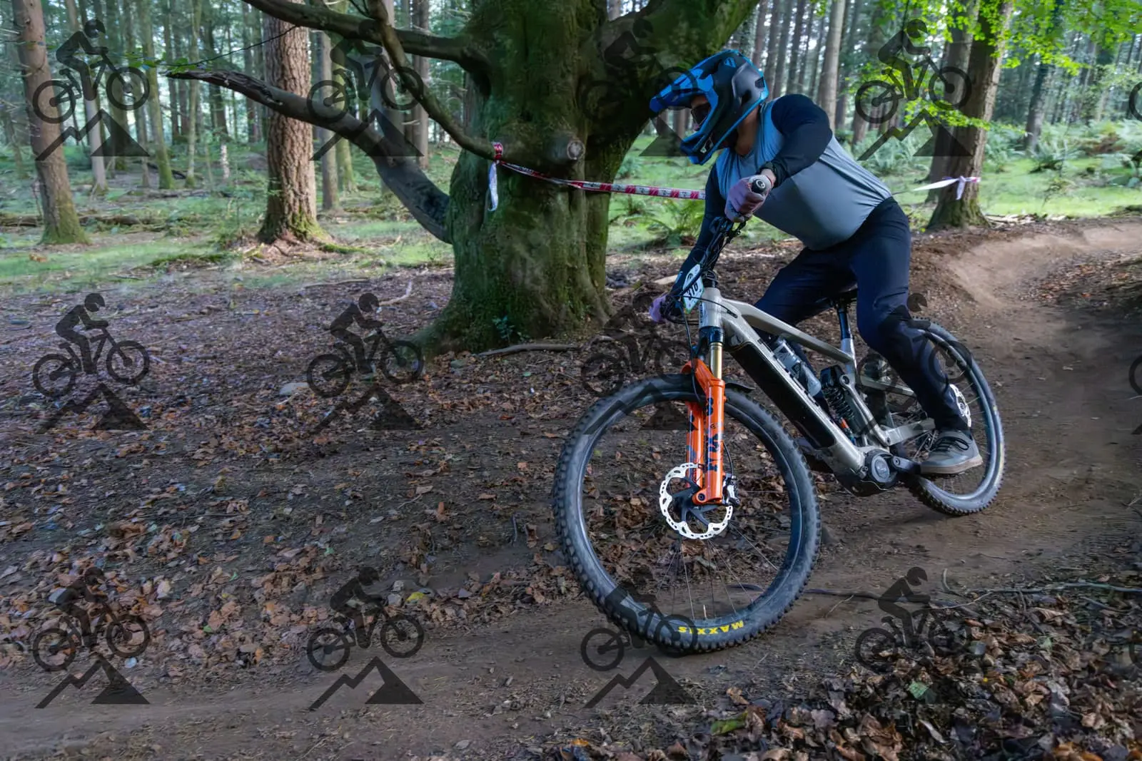 mountain bike photo at Forest of Dean Cycle Centre
