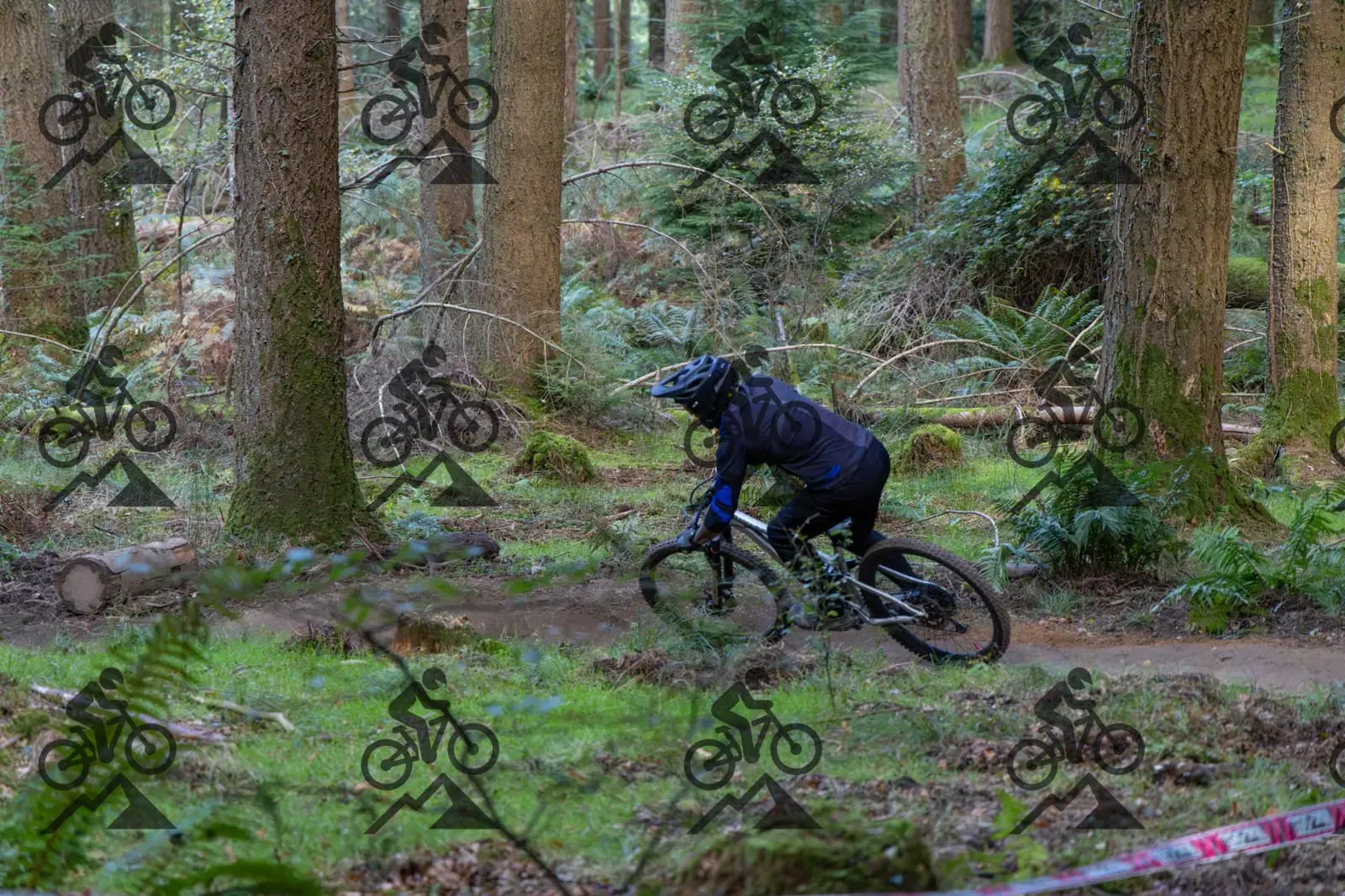 mountain bike photo at Forest of Dean Cycle Centre