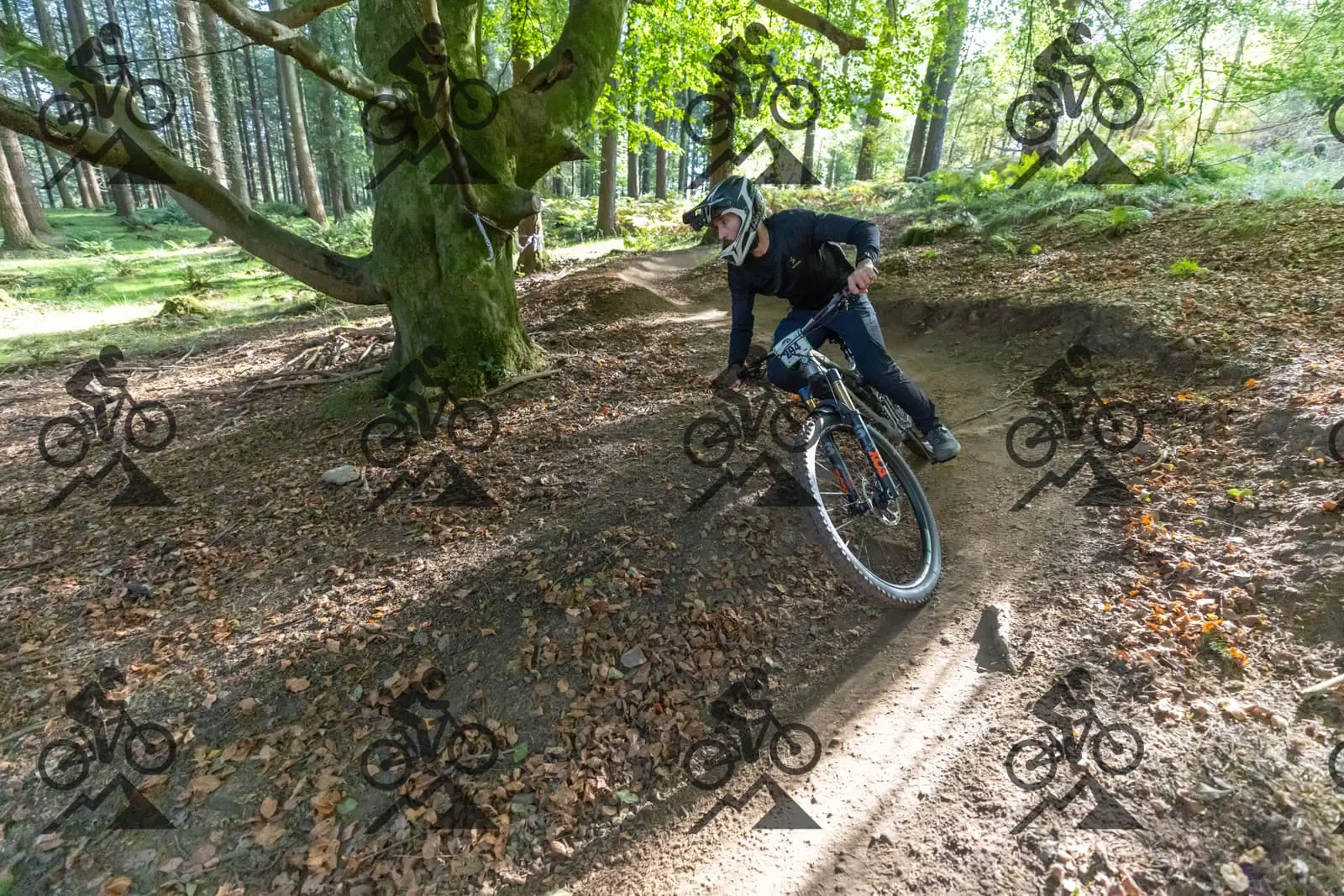 mountain bike photo at Forest of Dean Cycle Centre