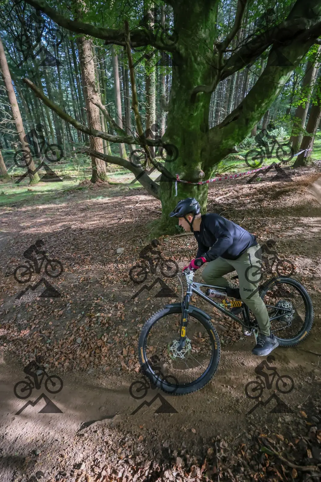 mountain bike photo at Forest of Dean Cycle Centre