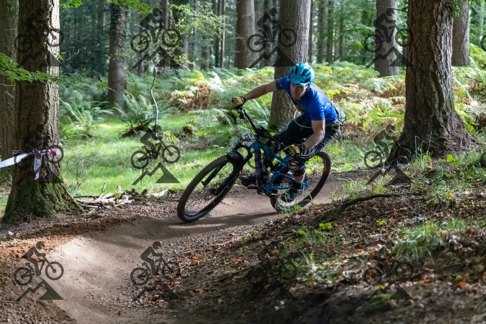 mountain bike photo at Forest of Dean Cycle Centre