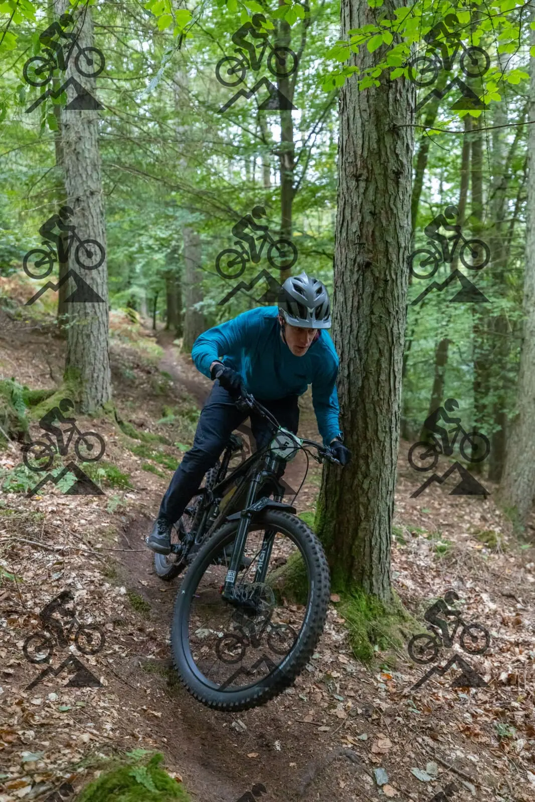 mountain bike photo at Forest of Dean Cycle Centre