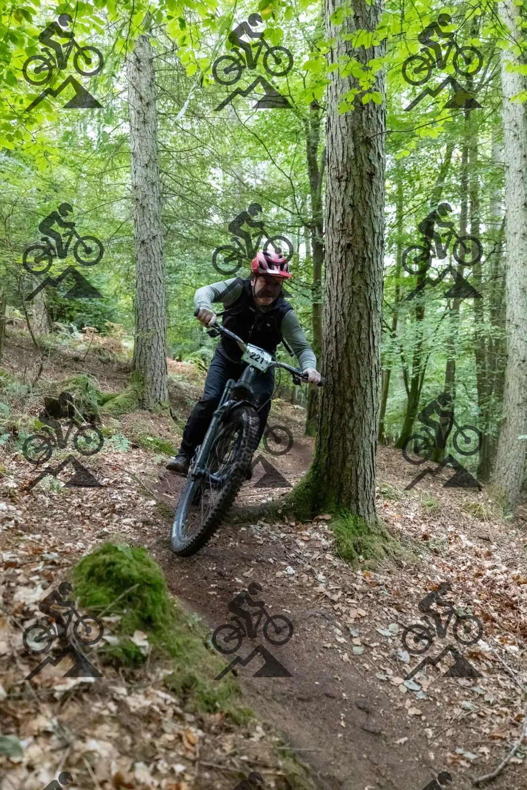 mountain bike photo at Forest of Dean Cycle Centre