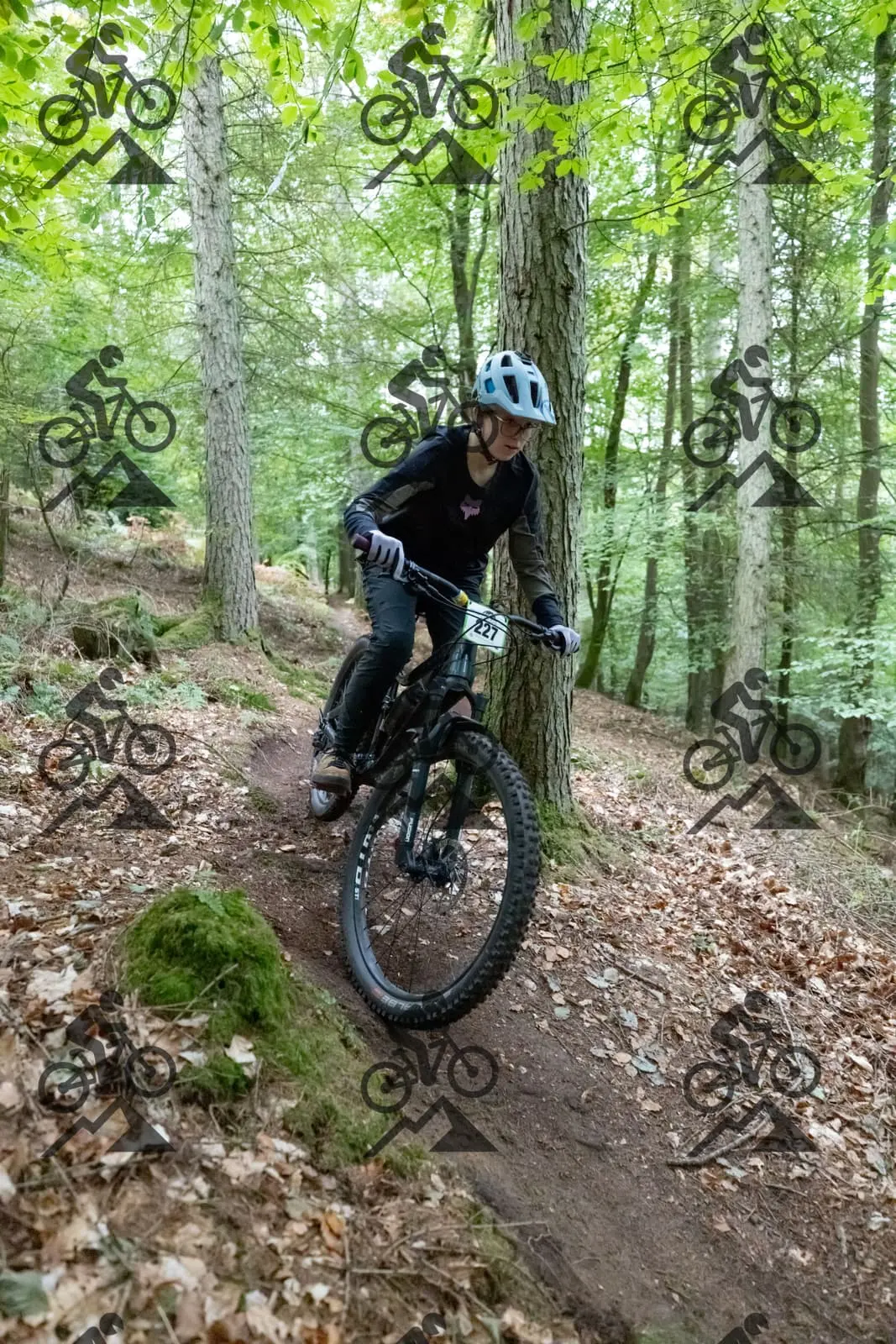 mountain bike photo at Forest of Dean Cycle Centre