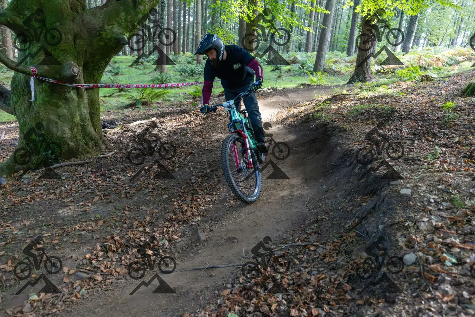 mountain bike photo at Forest of Dean Cycle Centre