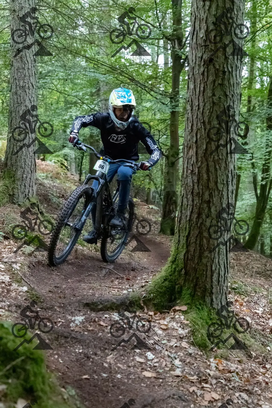 mountain bike photo at Forest of Dean Cycle Centre
