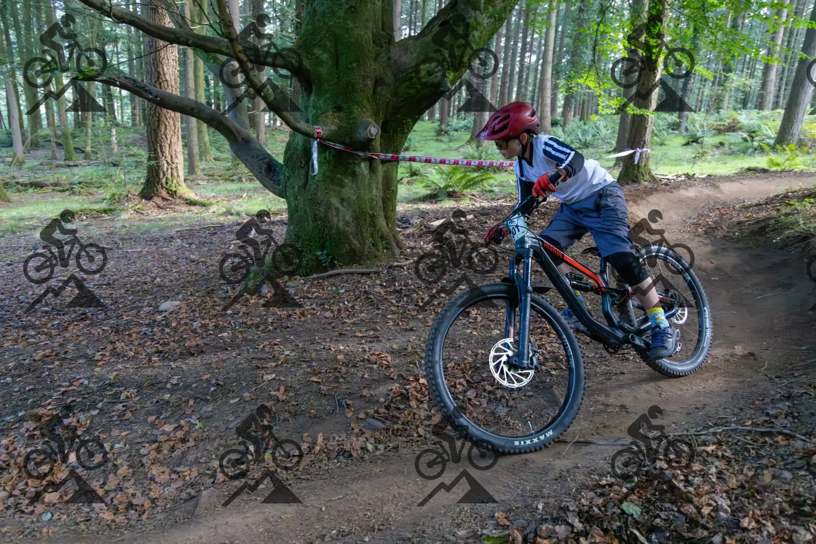 mountain bike photo at Forest of Dean Cycle Centre
