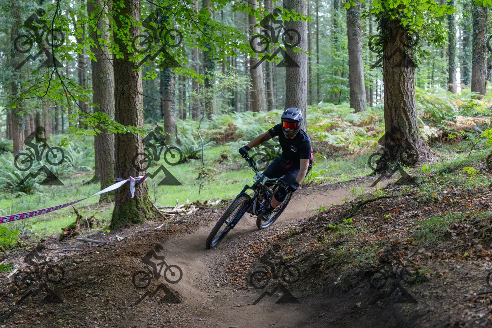 mountain bike photo at Forest of Dean Cycle Centre
