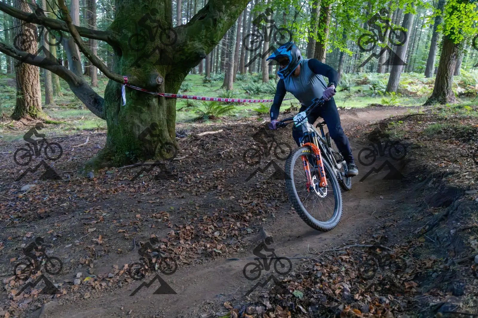 mountain bike photo at Forest of Dean Cycle Centre