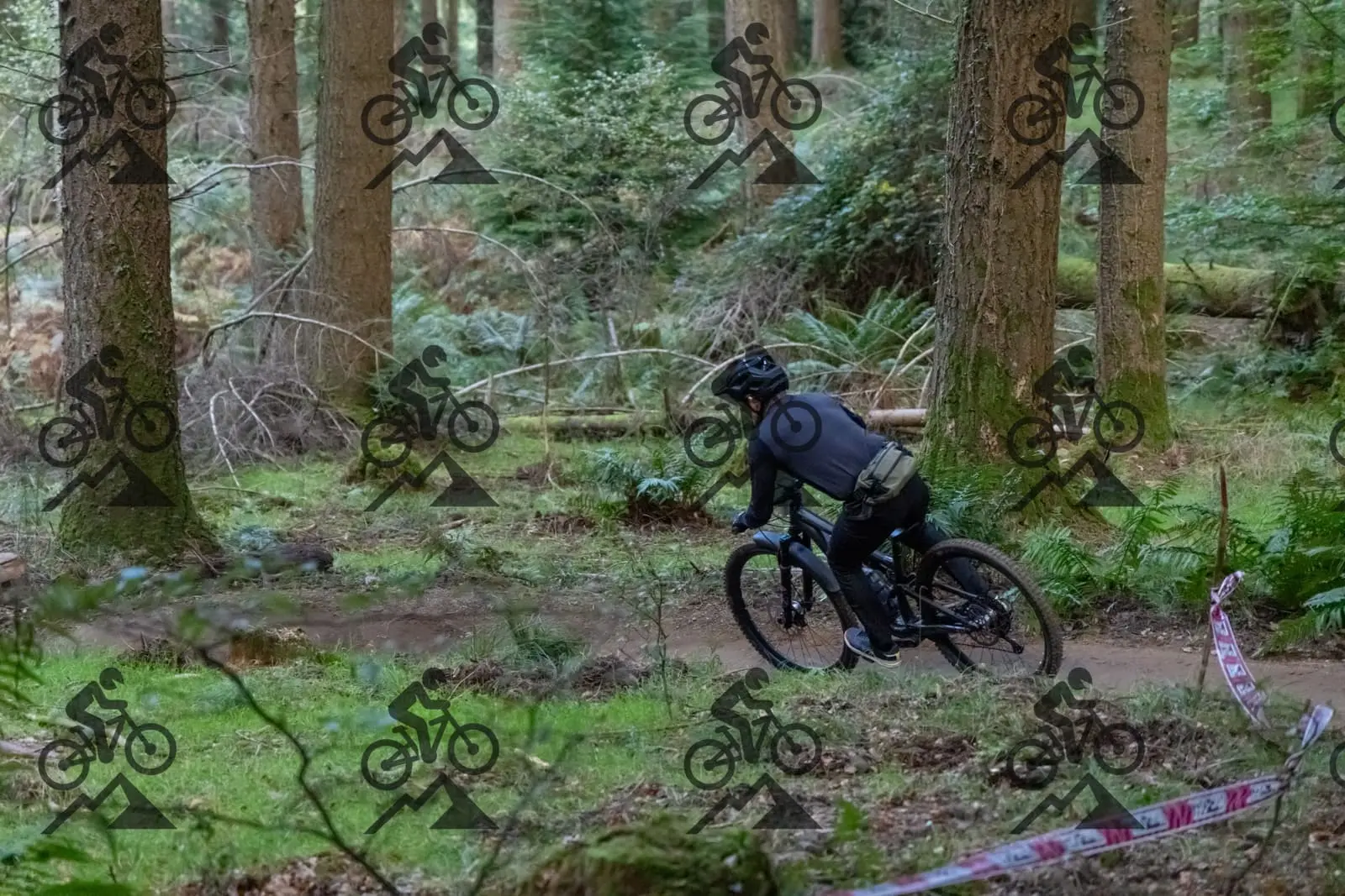 mountain bike photo at Forest of Dean Cycle Centre
