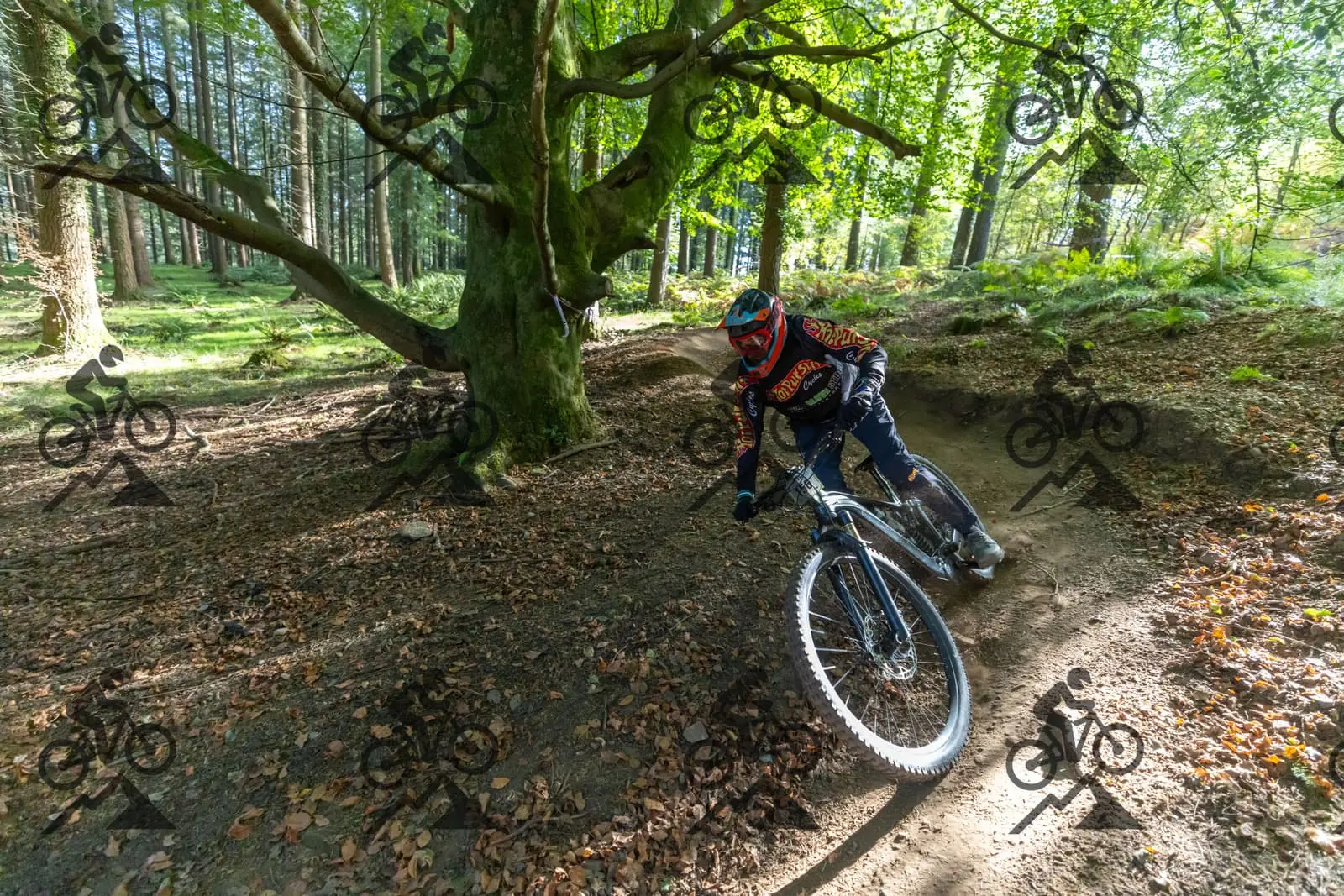 mountain bike photo at Forest of Dean Cycle Centre